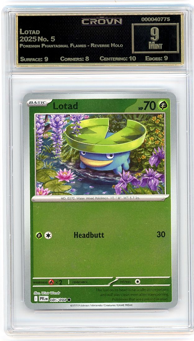 Lotad