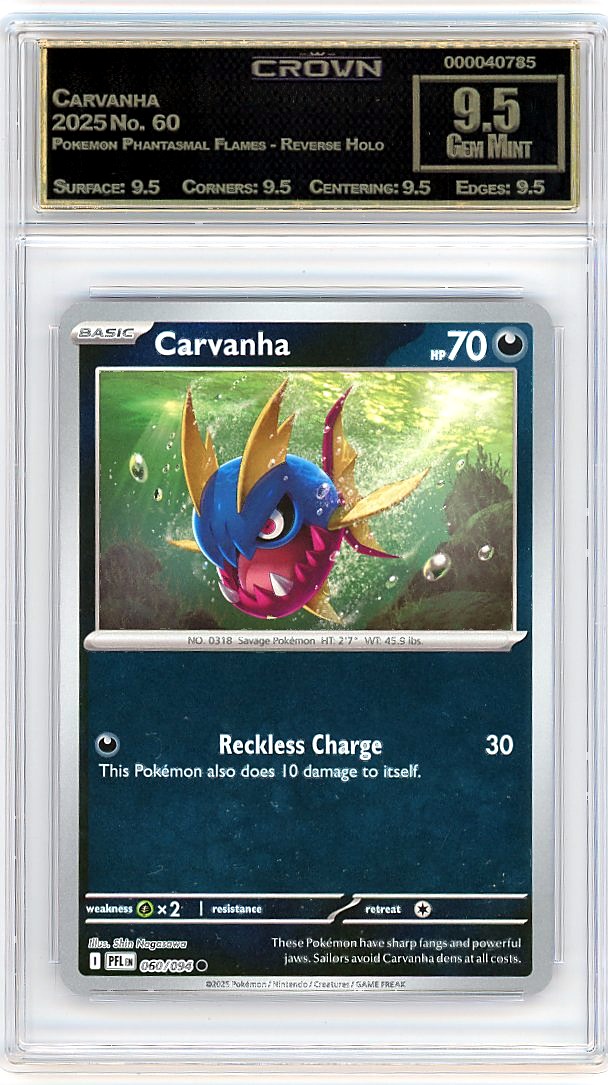 Carvanha
