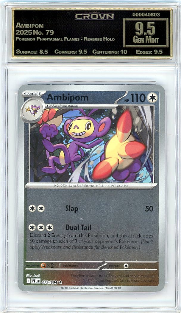 Ambipom
