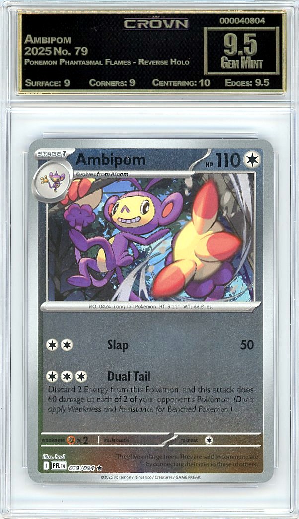Ambipom