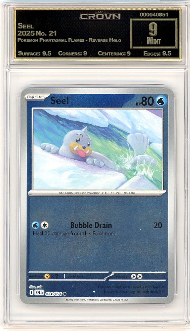 Seel