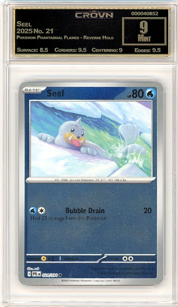 Seel