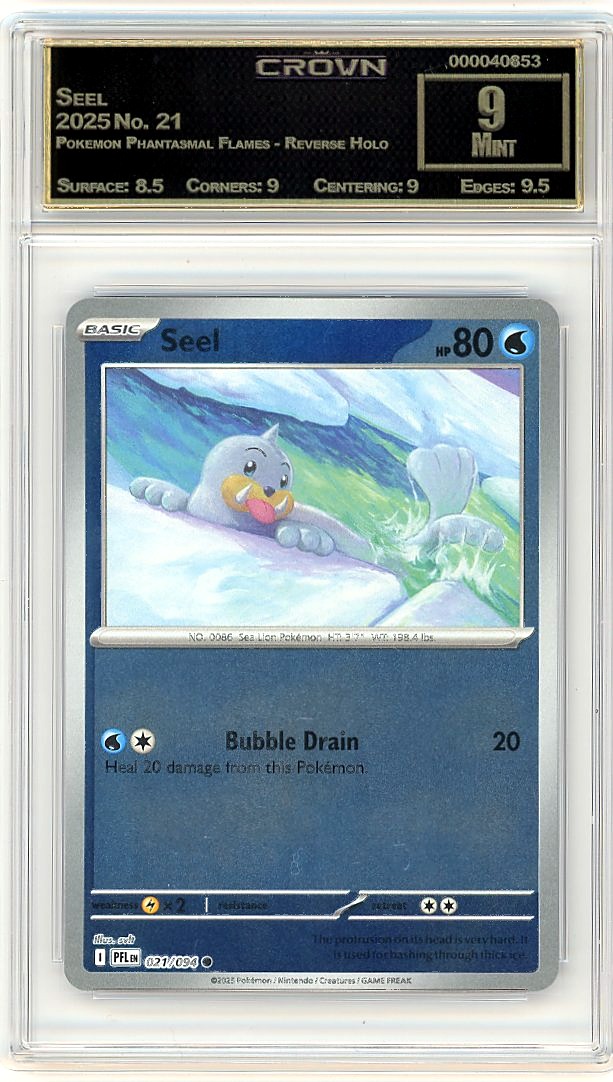 Seel