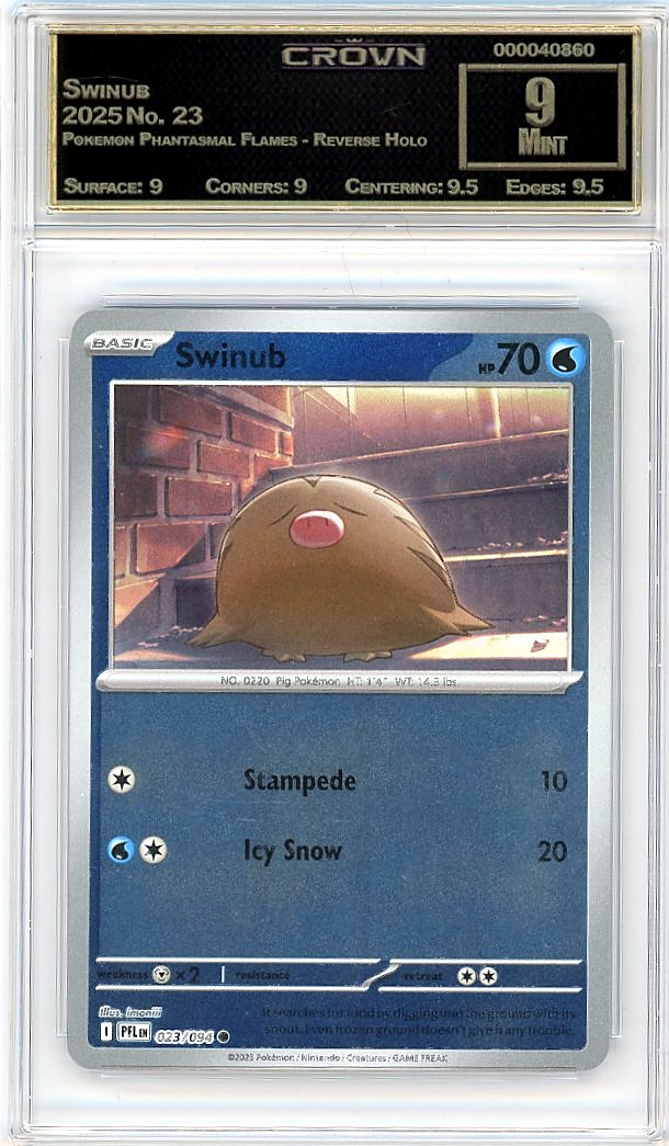 Swinub