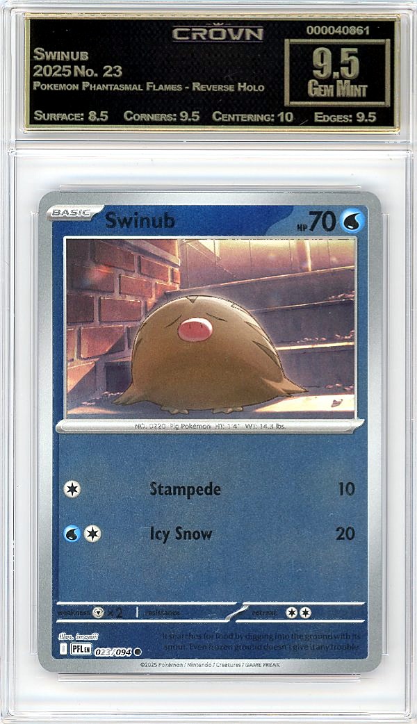 Swinub