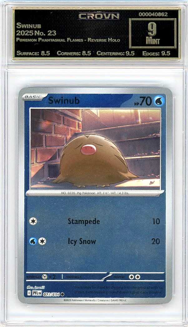 Swinub