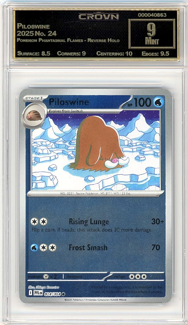 Piloswine