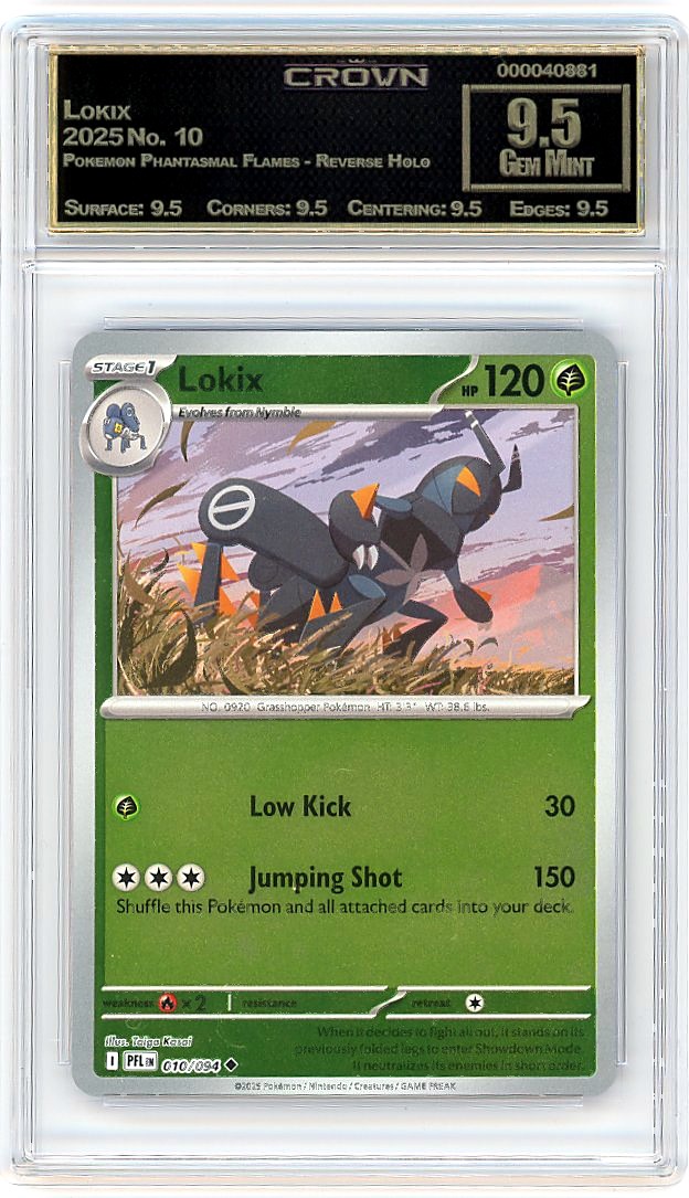 Lokix
