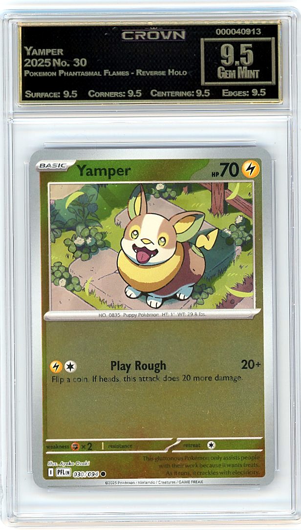 Yamper