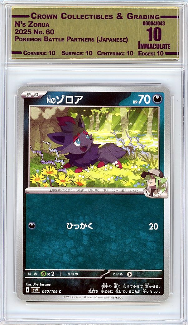N's Zorua