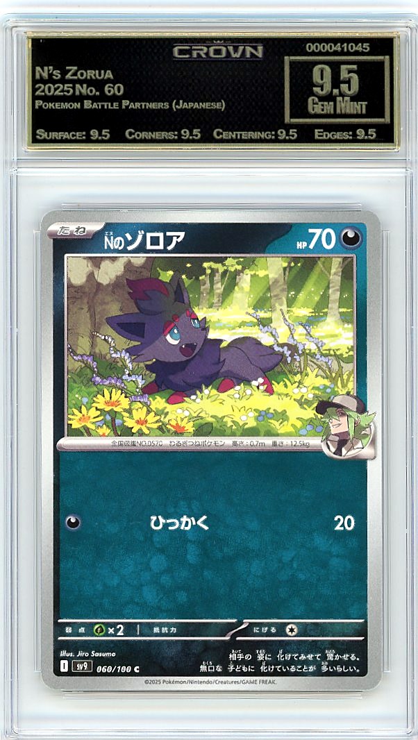N's Zorua