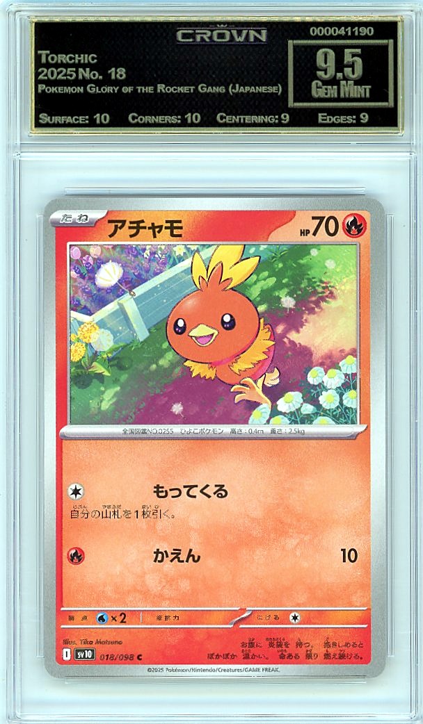 Torchic