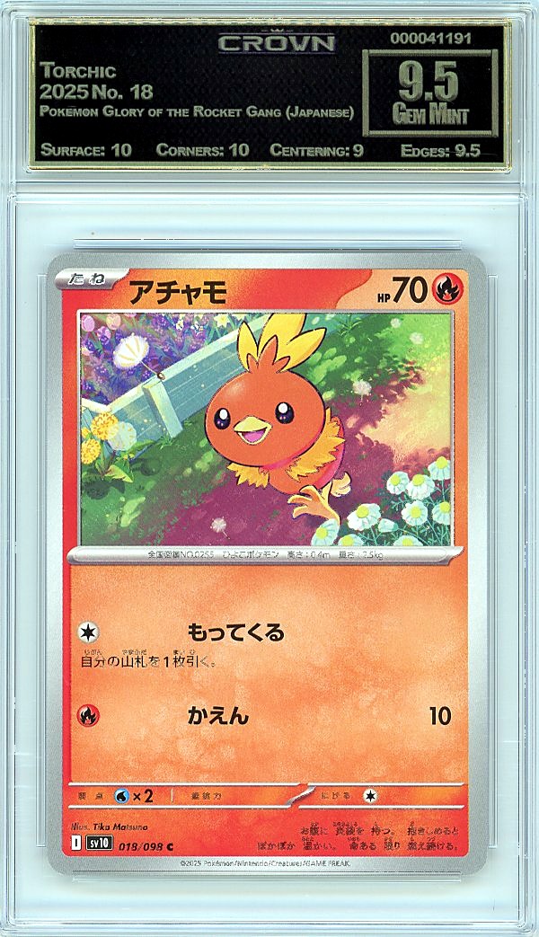 Torchic