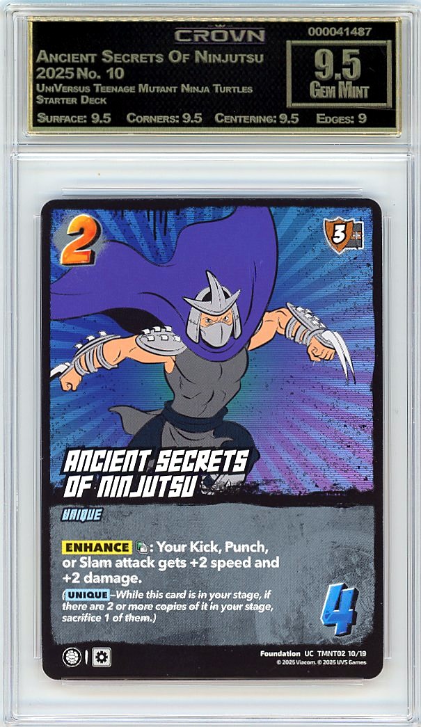 Ancient Secrets Of Ninjutsu