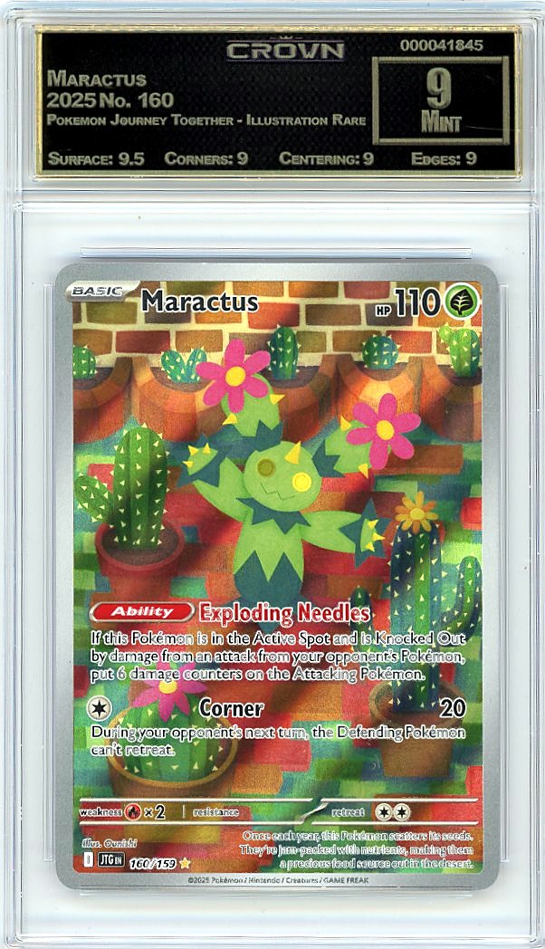 Maractus