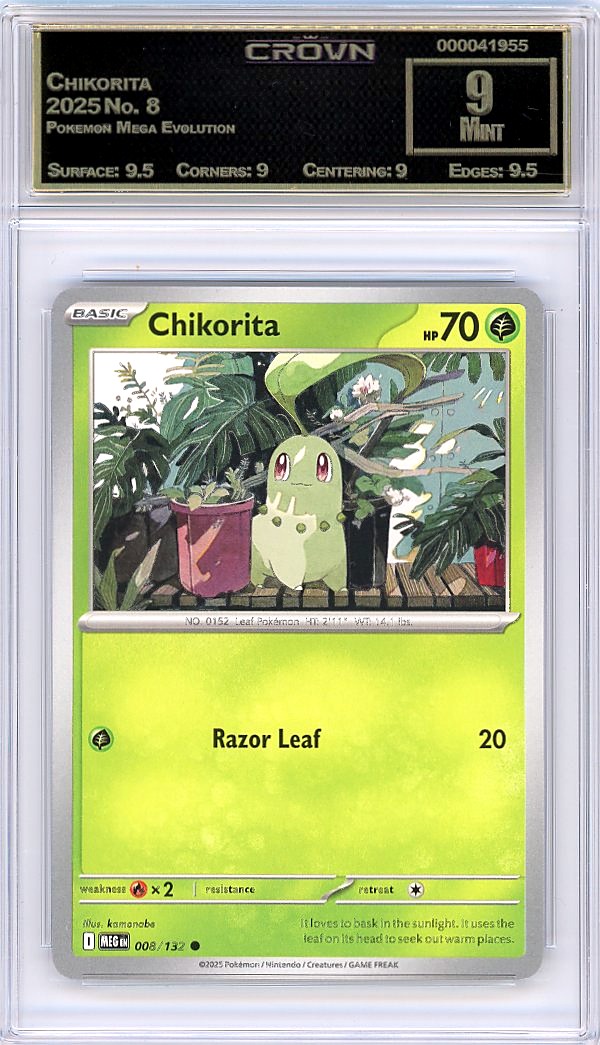 Chikorita