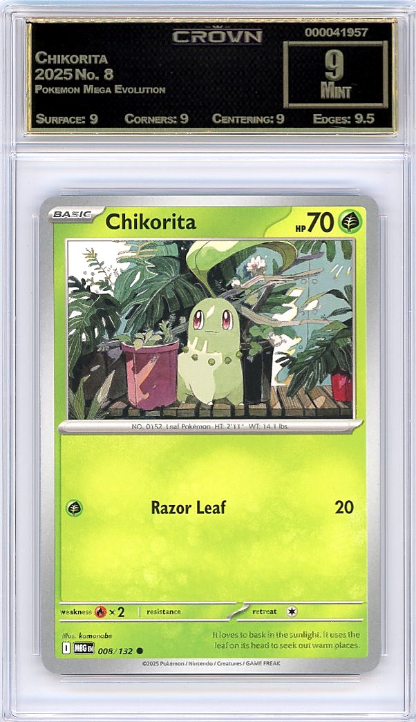 Chikorita