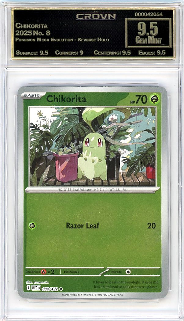 Chikorita