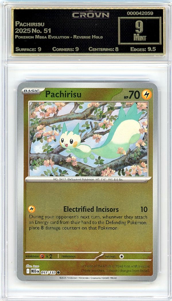 Pachirisu