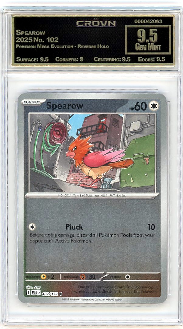 Spearow