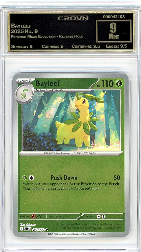 Bayleef