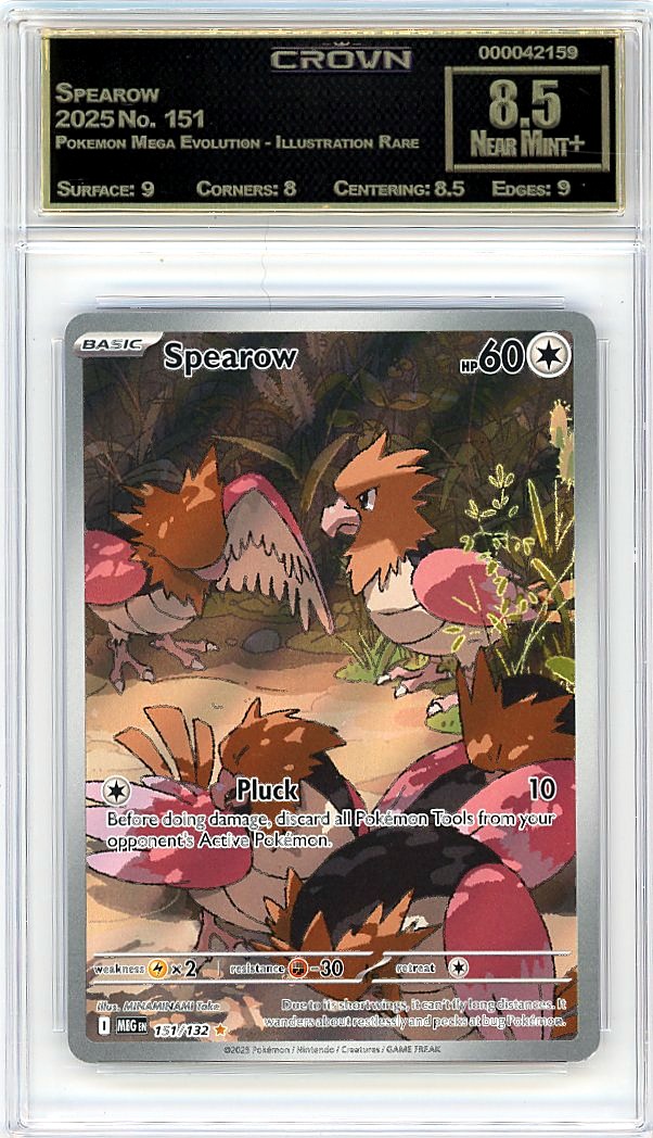 Spearow