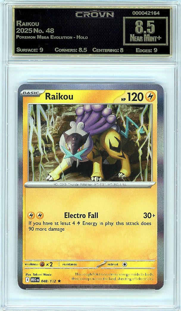 Raikou