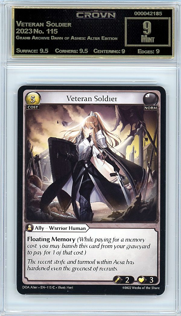 Veteran Soldier
