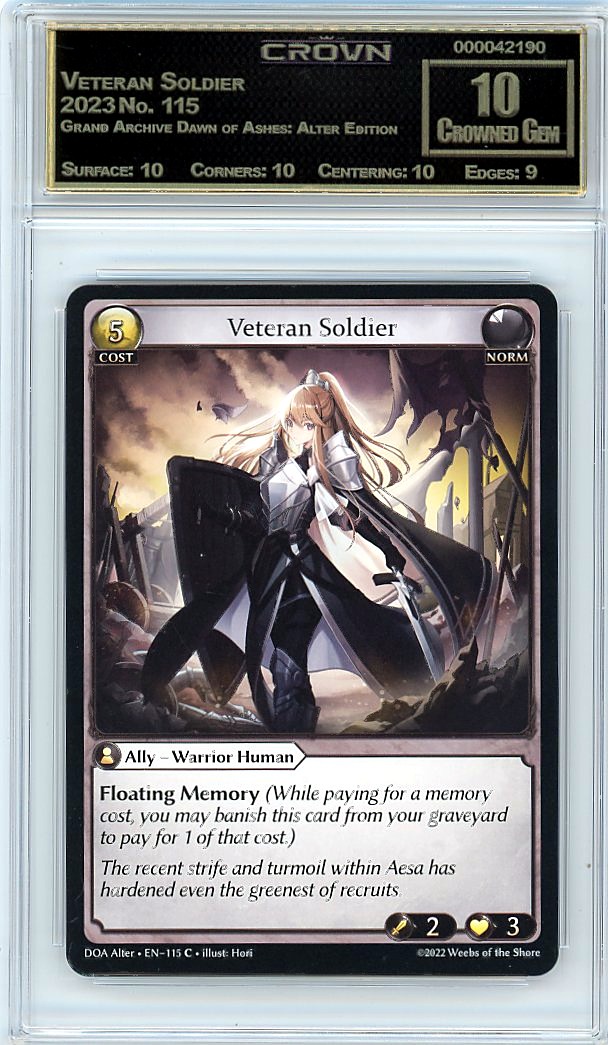 Veteran Soldier