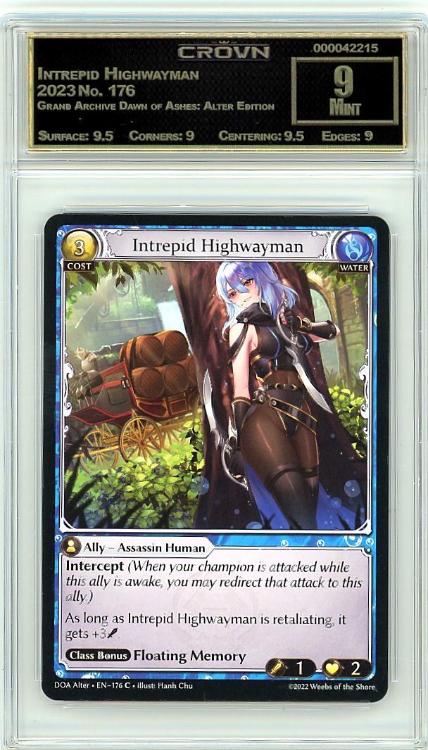 Intrepid Highwayman
