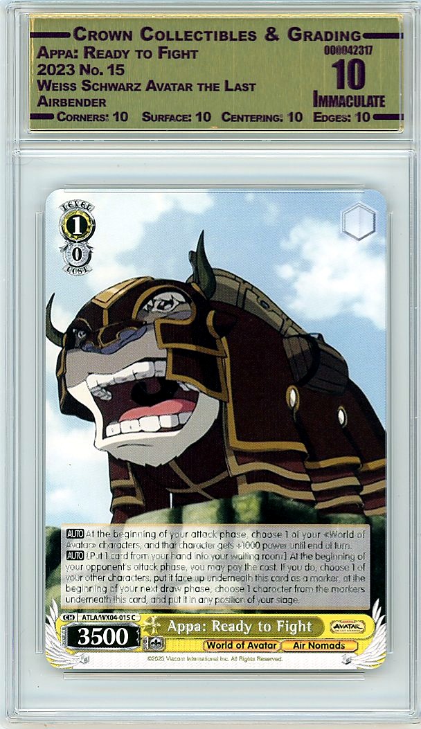 Appa: Ready to Fight