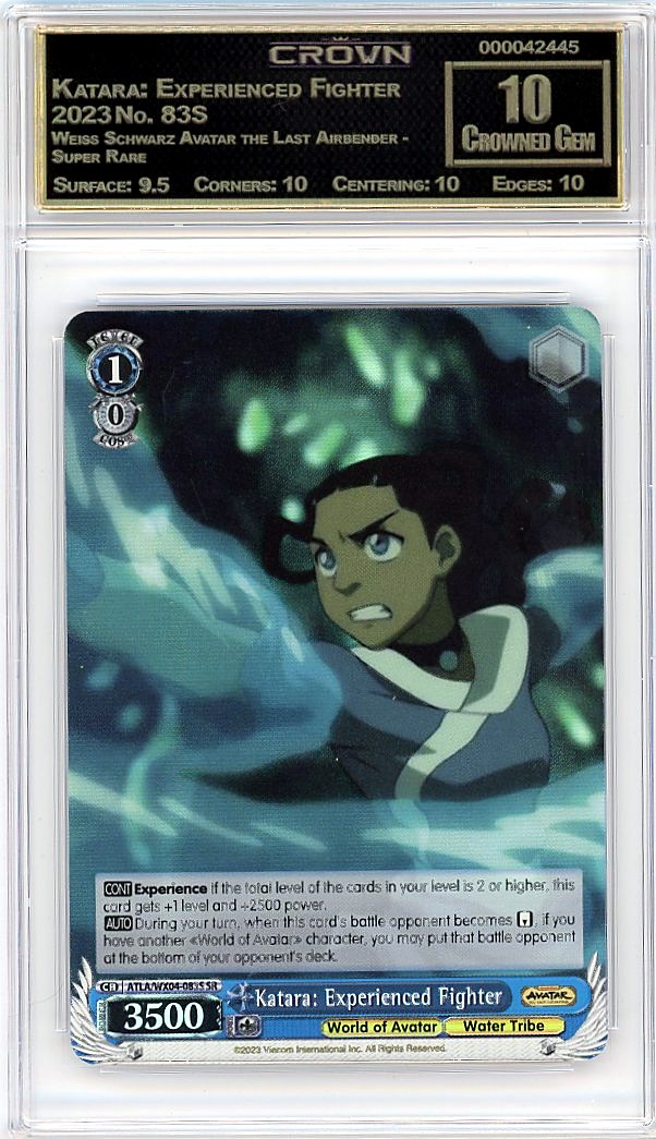 Katara: Experienced Fighter