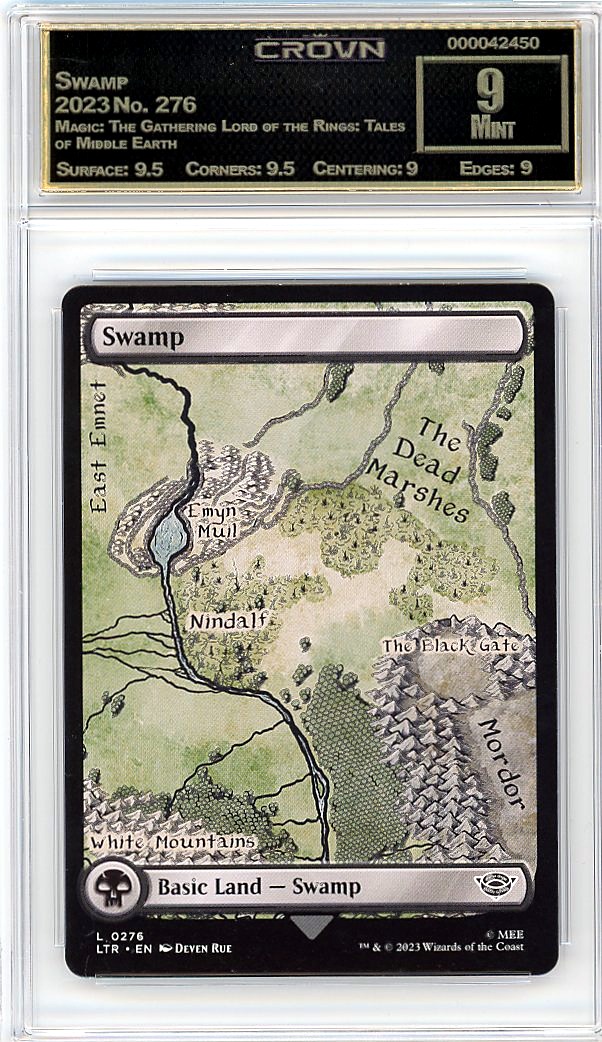 Swamp