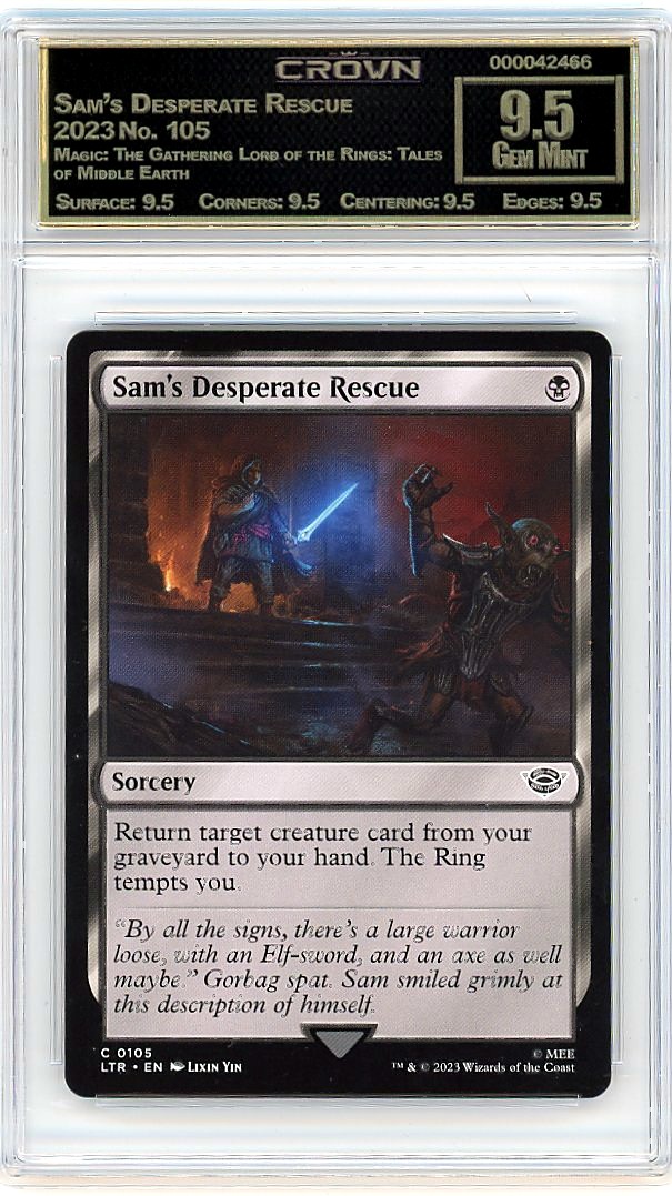 Sam's Desperate Rescue