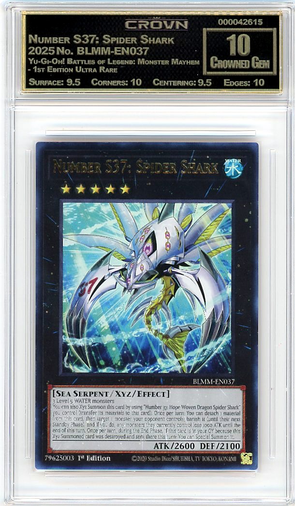 Number S37: Spider Shark