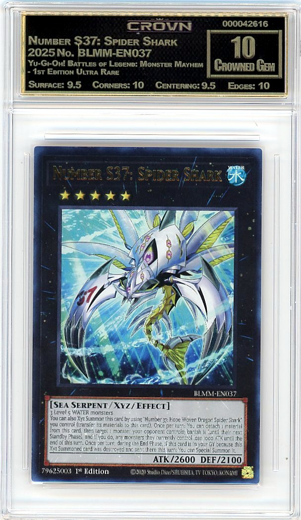 Number S37: Spider Shark