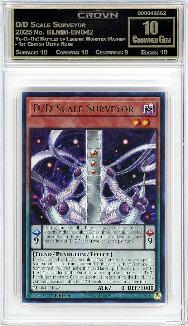 D/D Scale Surveyor