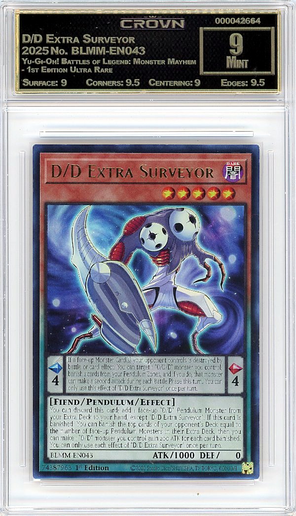 D/D Extra Surveyor
