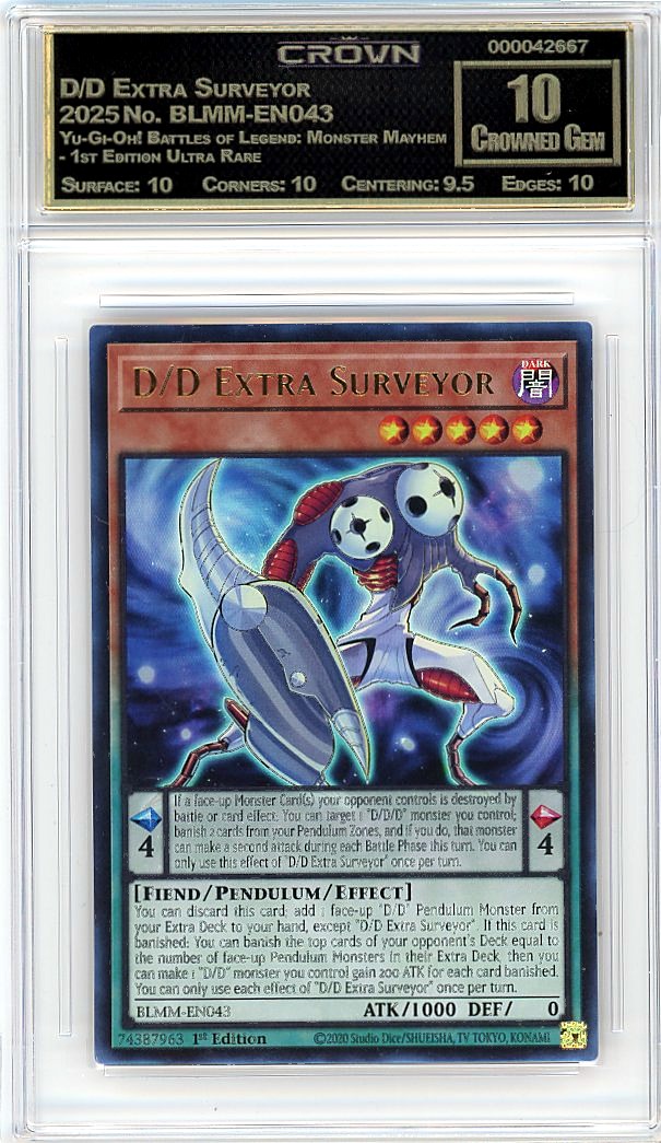 D/D Extra Surveyor