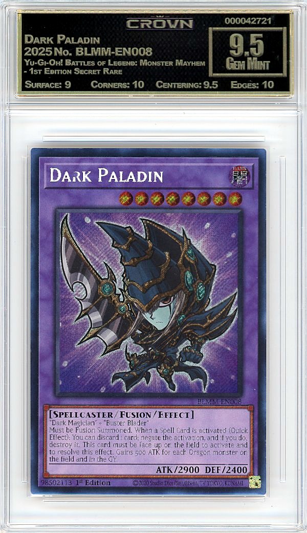 Dark Paladin