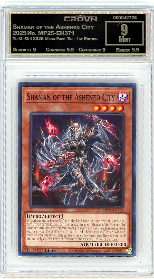 Shaman of the Ashened City