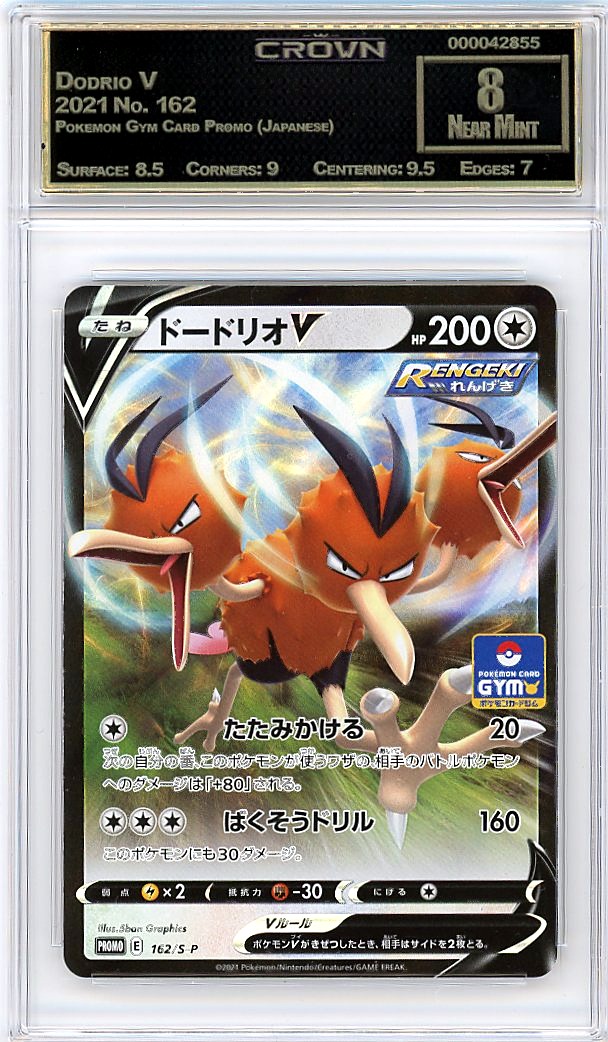 Dodrio V