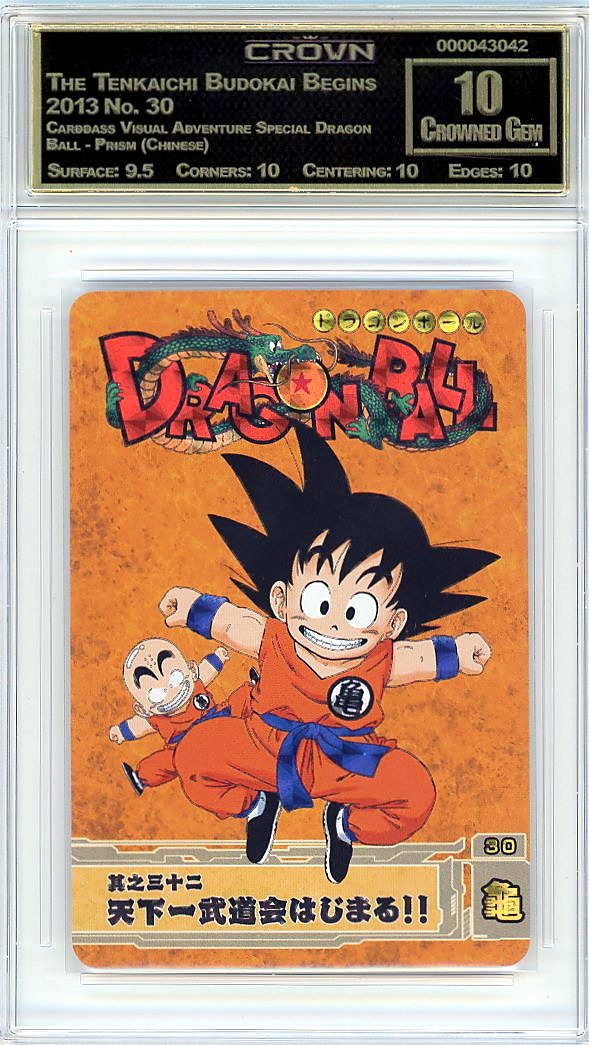 The Tenkaichi Budokai Begins