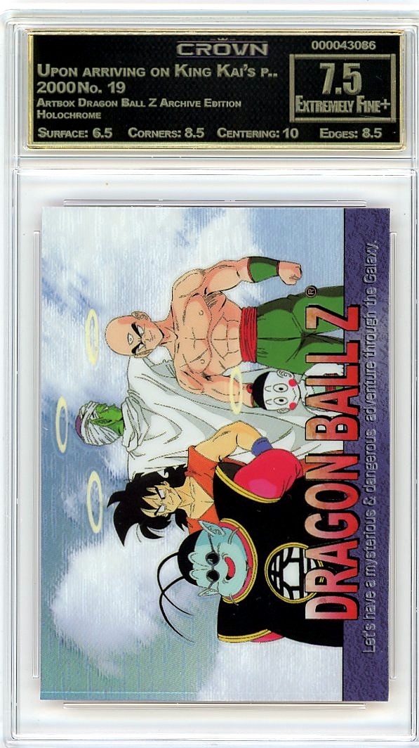 Upon arriving on King Kai's p..
