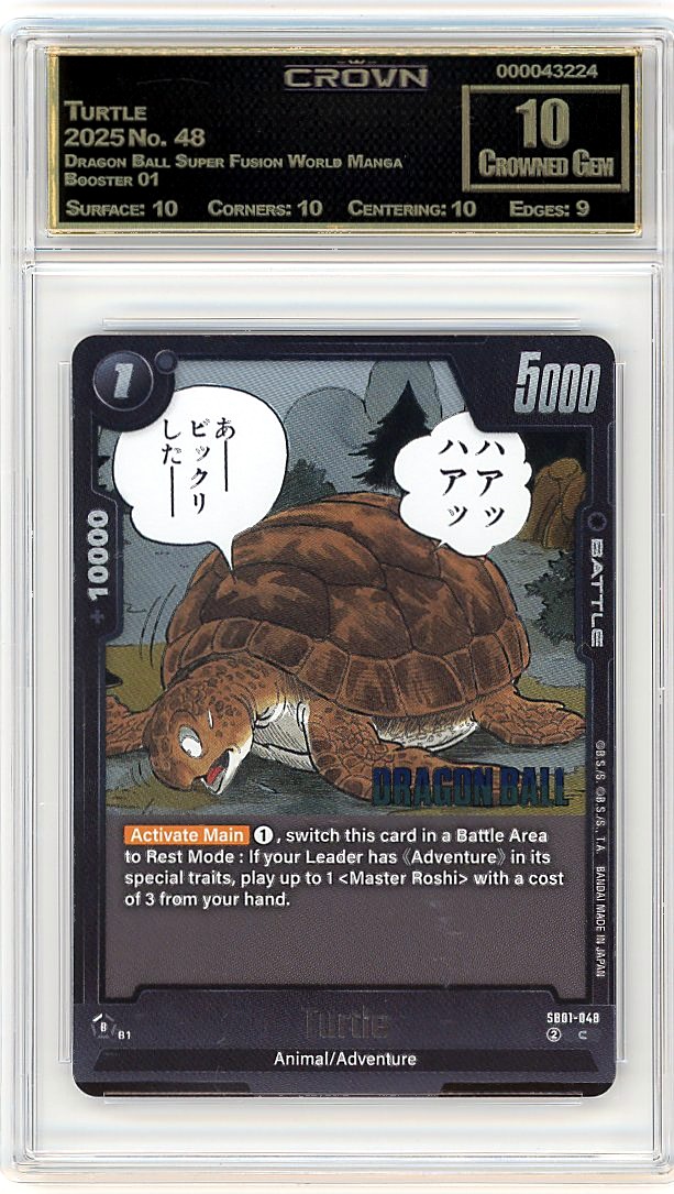 Turtle