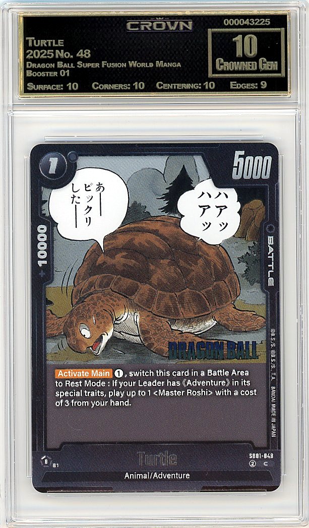 Turtle