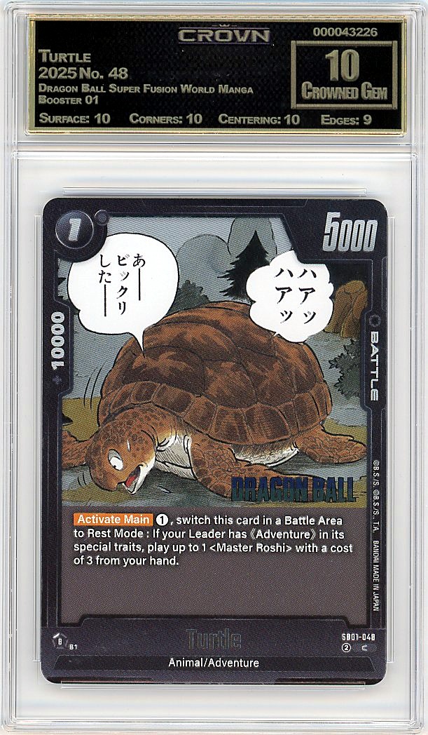 Turtle