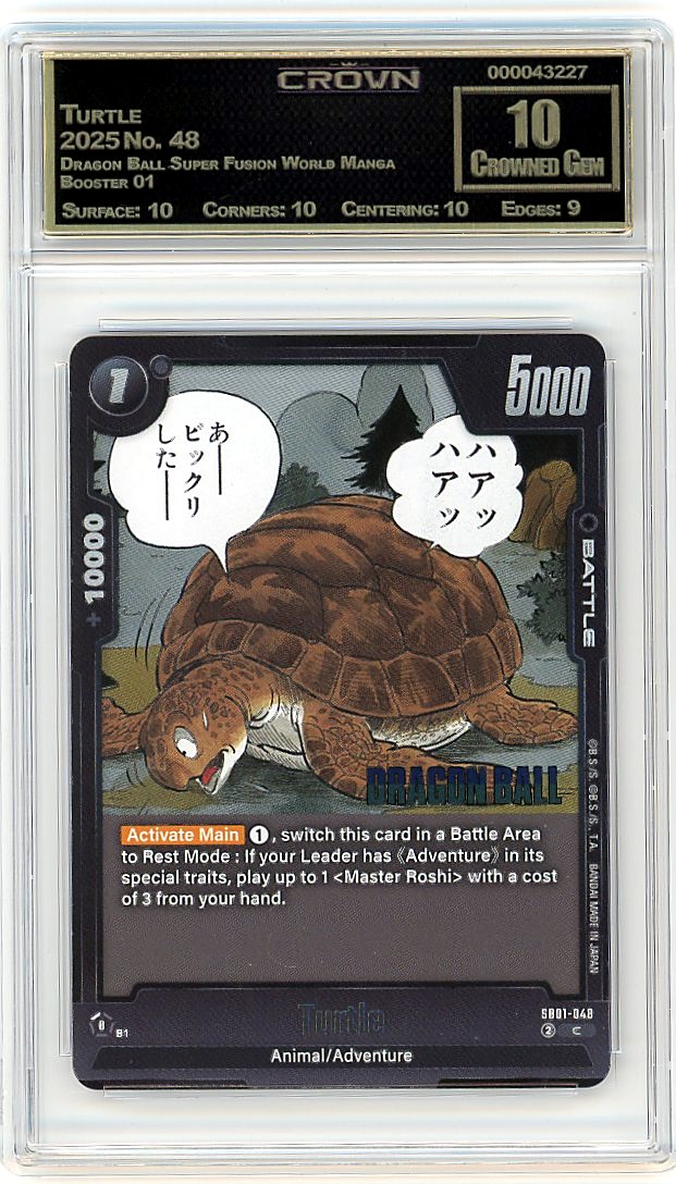 Turtle