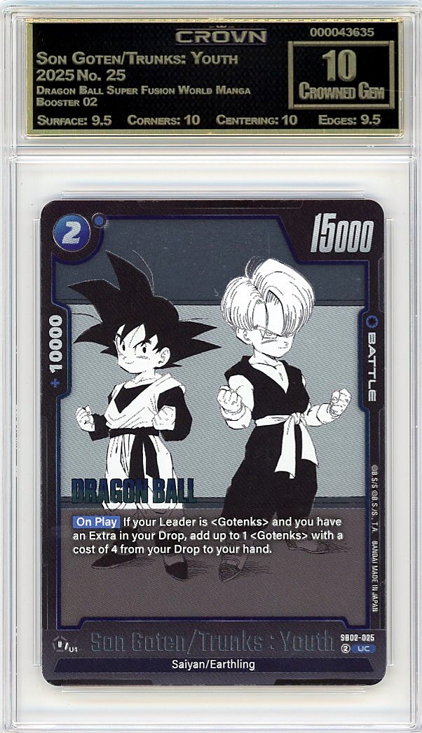Son Goten/Trunks: Youth