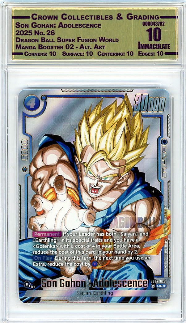 Son Gohan: Adolescence